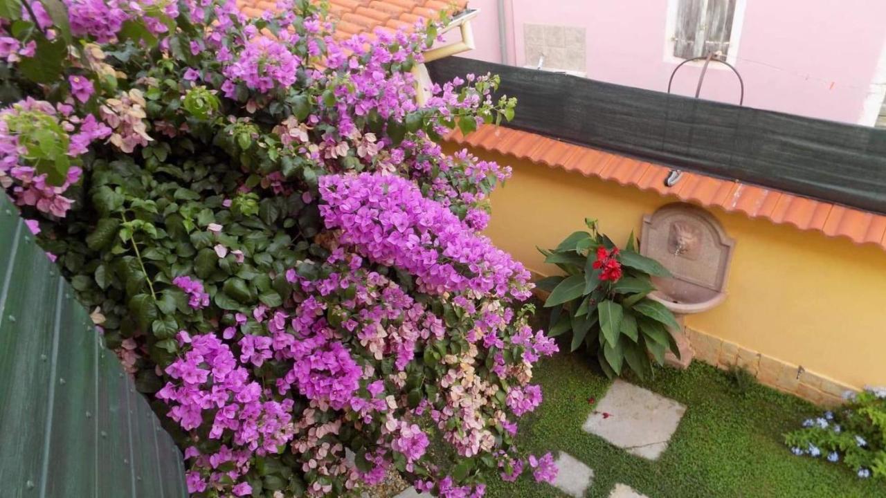 House Justina Villa Zadar Eksteriør billede